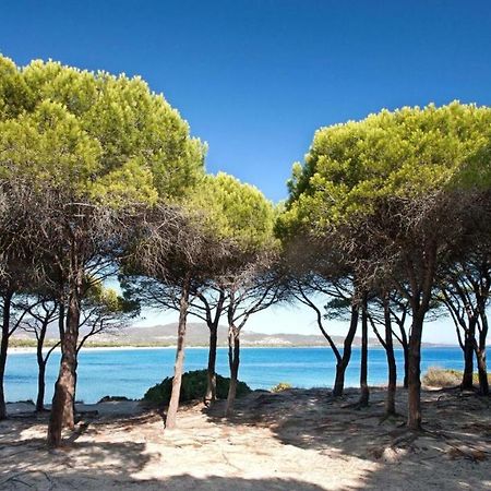 B&B La Quercia Budoni, Tanaunella Bagian luar foto