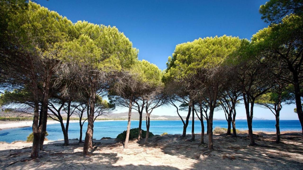 B&B La Quercia Budoni, Tanaunella Bagian luar foto